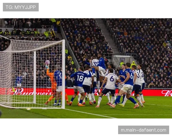 热刺3-0大胜埃弗顿 范德芬梅开二度萨尔进球